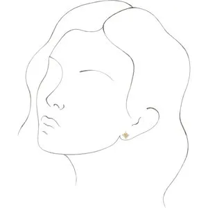 14K Yellow Star Earrings 86757601PSTWBC WB Choice Jewelry Earrings