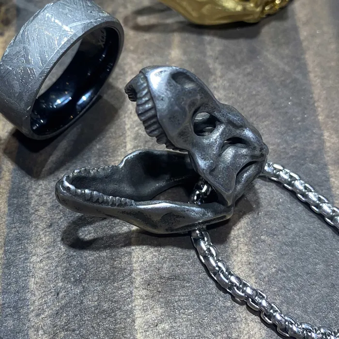 INOX JEWELRY Necklaces Distressed Matte Finish Silver Tone Stainless Steel TRex Skull Pendant with Chain