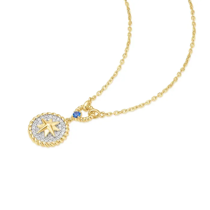 Chill Voyager Eight Pointed Star Signet Necklace Ania Haie Necklaces