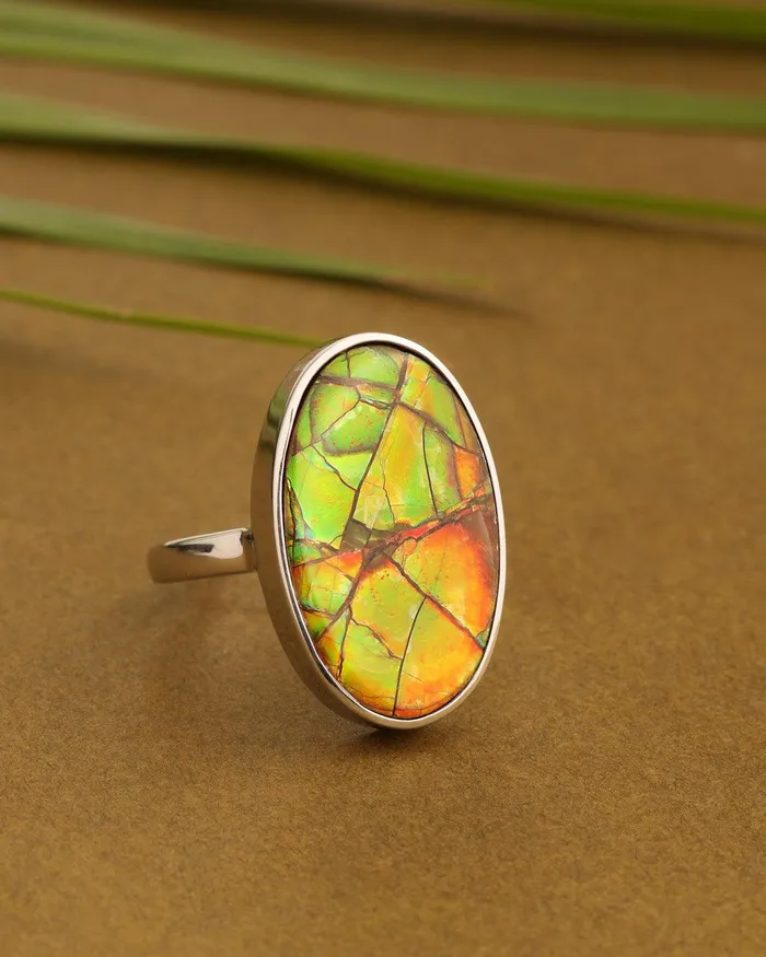 YoTreasure 1485 Ct Ammoite Ring Solid 925 Sterling Silver Jewlry Rings