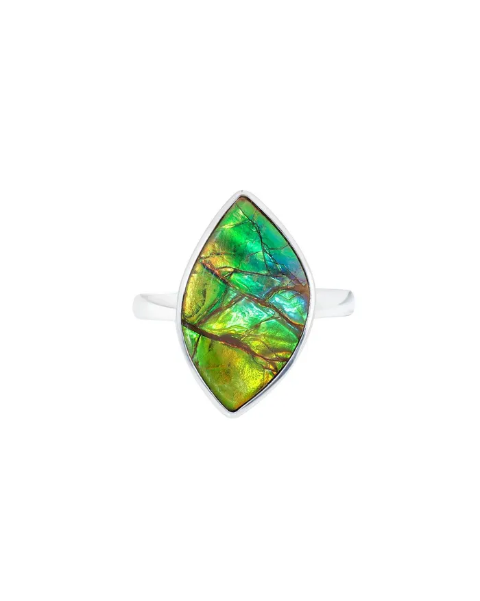 YoTreasure Rings 855 Ct Ammoite Ring Solid 925 Sterling Silver Jewlry