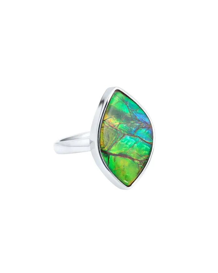 YoTreasure Rings 855 Ct Ammoite Ring Solid 925 Sterling Silver Jewlry