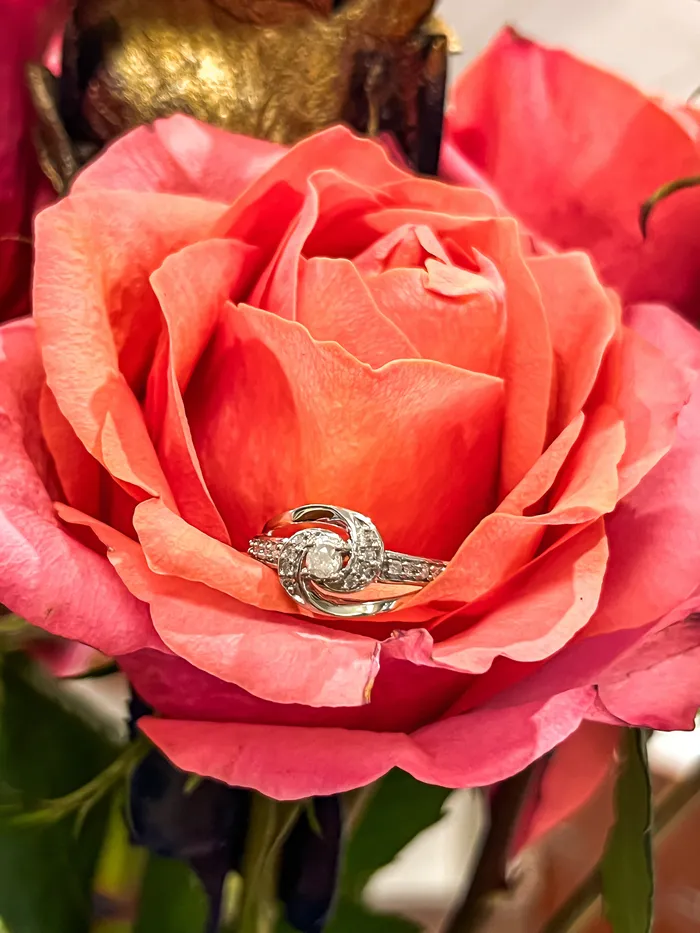 299 Clearance Engagement Diamond Ring Crown Jewels Coin Rings