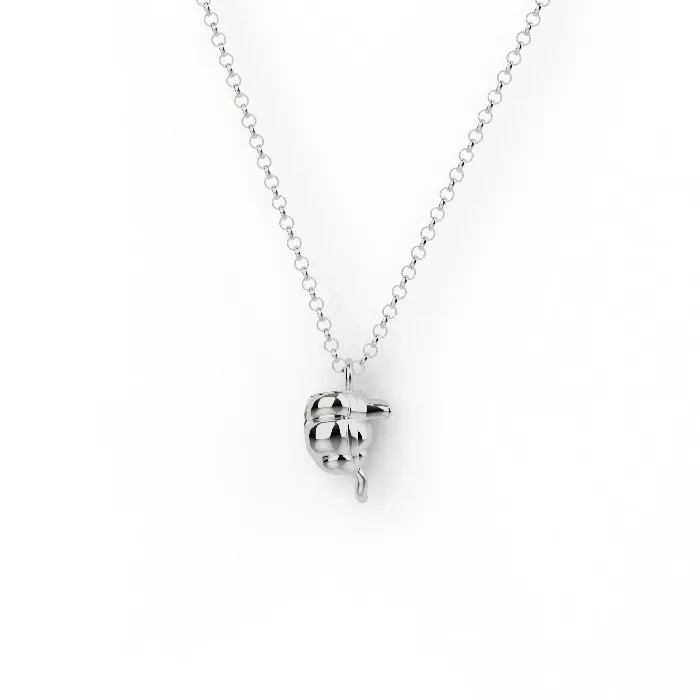 appendix necklace silver sciencejewelry1824 Necklaces