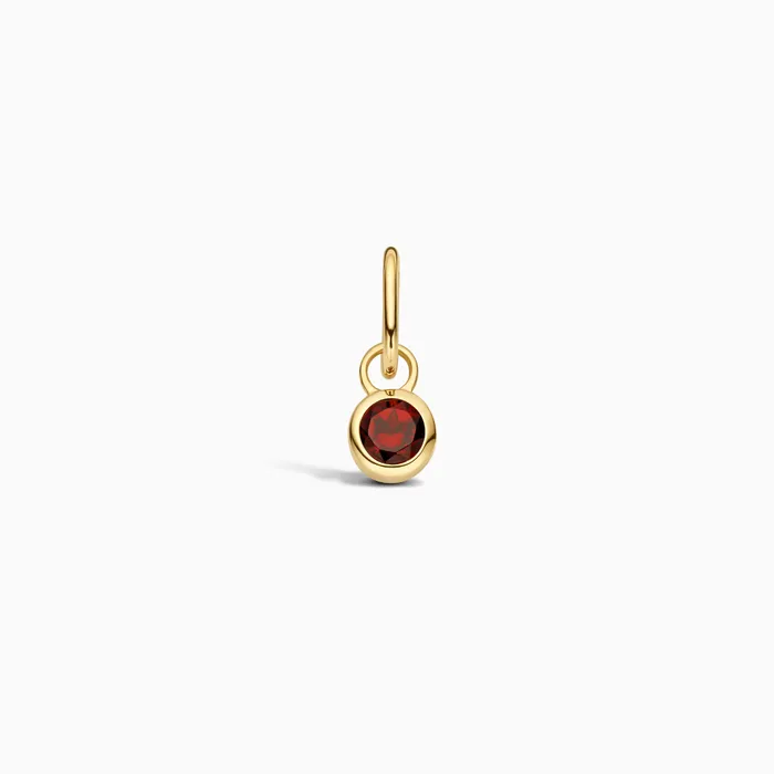 Birthstone Charm January Eline Rosina Charm Necklaces