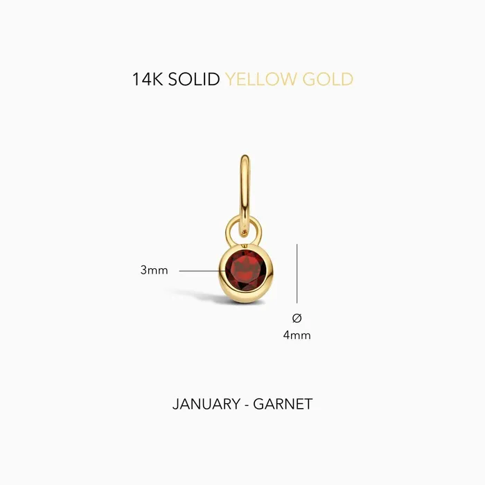 Birthstone Charm January Eline Rosina Charm Necklaces