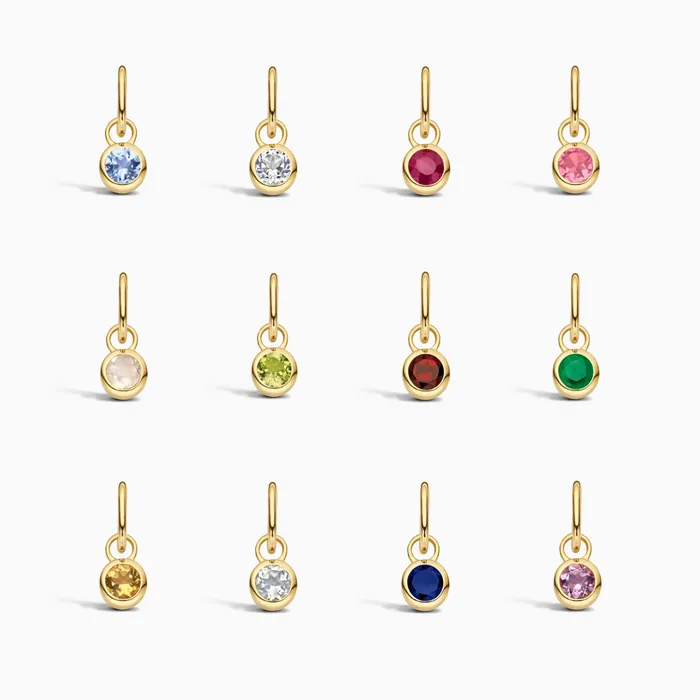Birthstone Charm January Eline Rosina Charm Necklaces