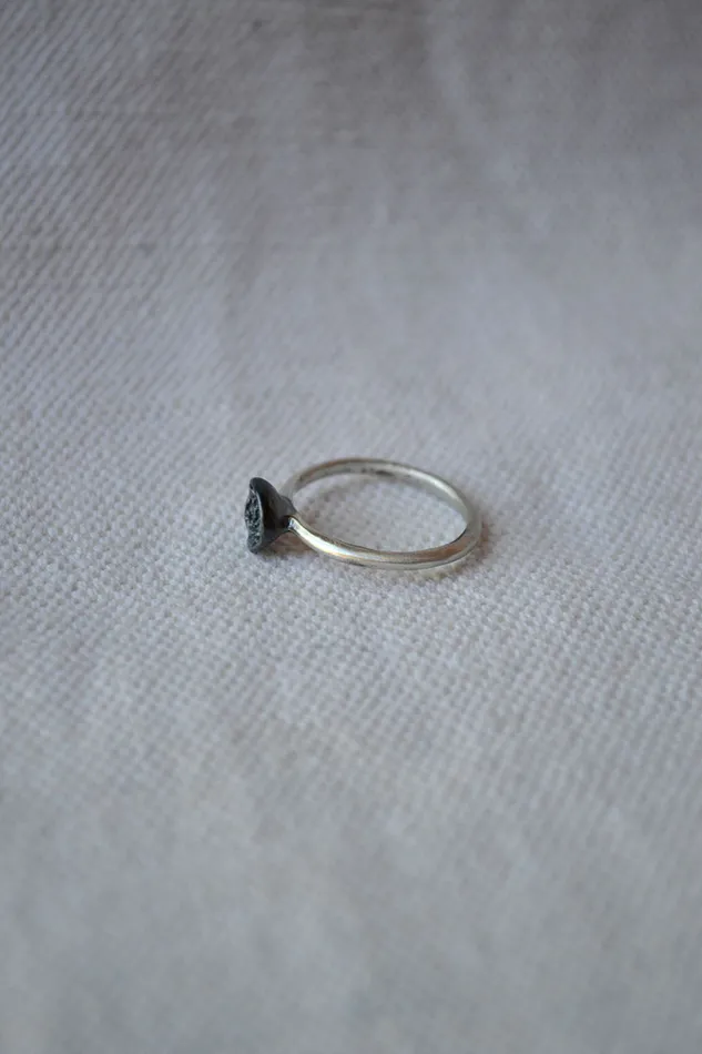 Branch Lava Shell Ring Rings