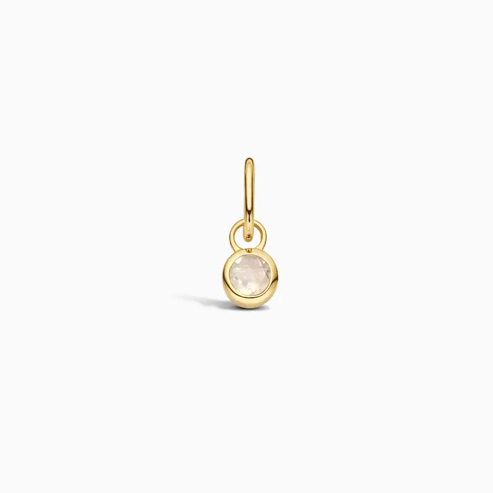 Charm Necklaces Eline Rosina Birthstone Charm June