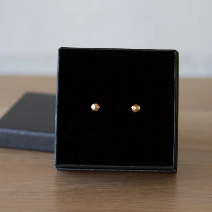 Corey Egan Earrings Gold Micro Fragment Diamond Stud Earrings