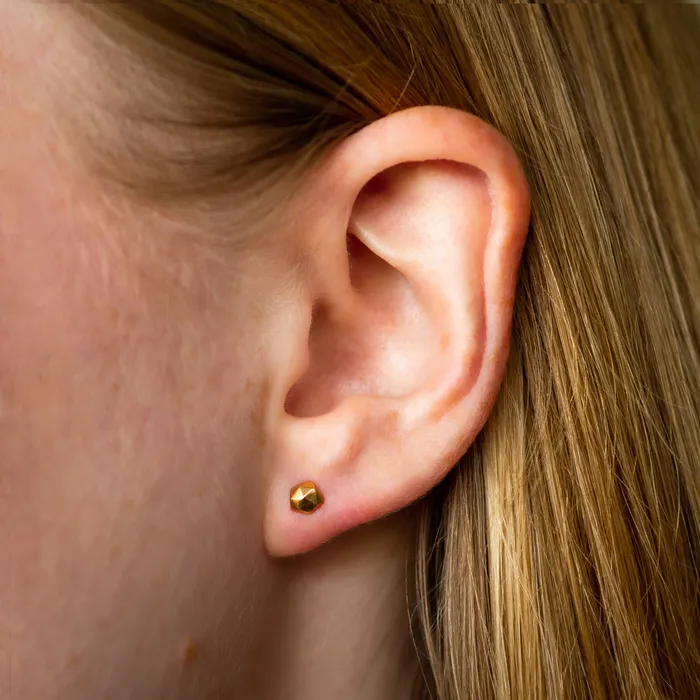 Corey Egan Vermeil Micro Fragment Stud Earrings Earrings