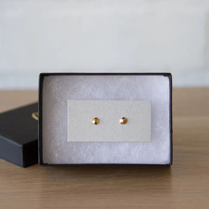 Corey Egan Vermeil Micro Fragment Stud Earrings Earrings