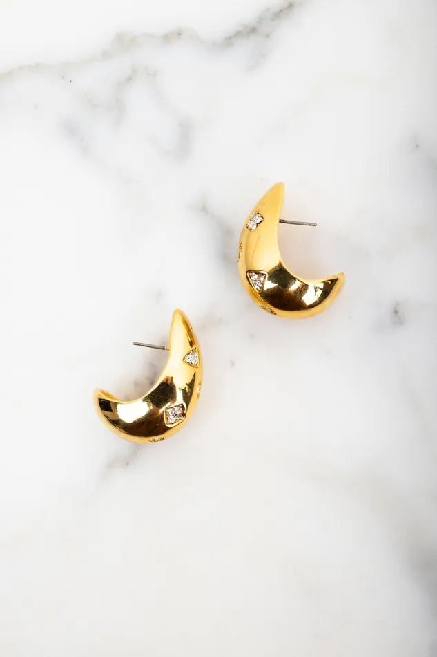 Earrings Elizabeth Cole Jewelry Bettina Earrings