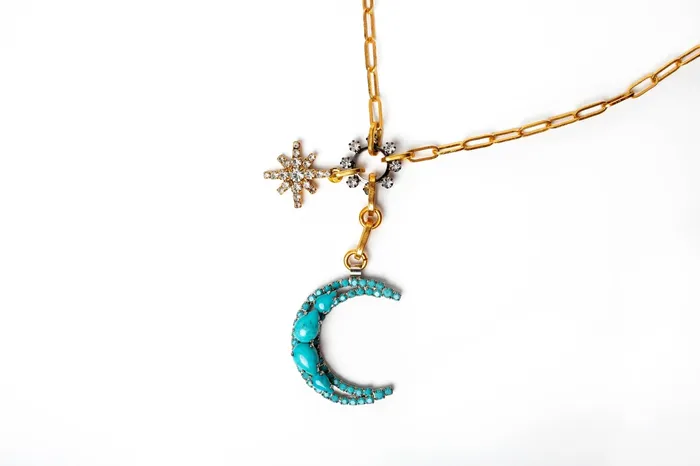 Elizabeth Cole Jewelry Necklaces Luna Necklace