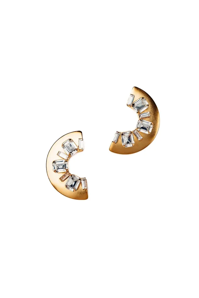 Ginna Earrings Elizabeth Cole Jewelry Earrings Ginna Earrings Elizabeth Cole Jewelry Earrings