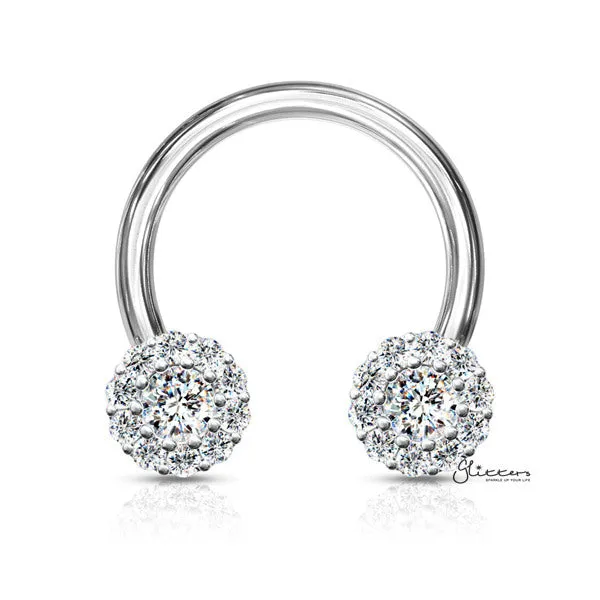 Glitters Earrings Surgical Steel Front Facing CZ Daisy Ends Horseshoes Barbell Silver