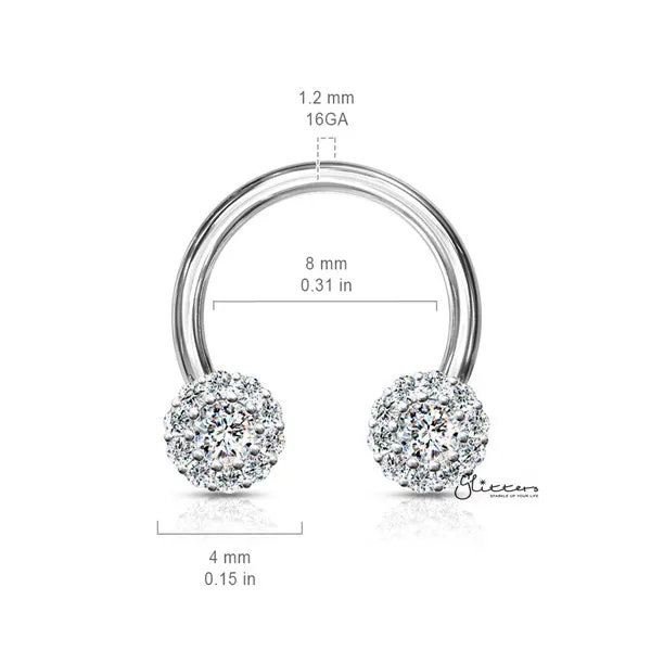 Glitters Earrings Surgical Steel Front Facing CZ Daisy Ends Horseshoes Barbell Silver