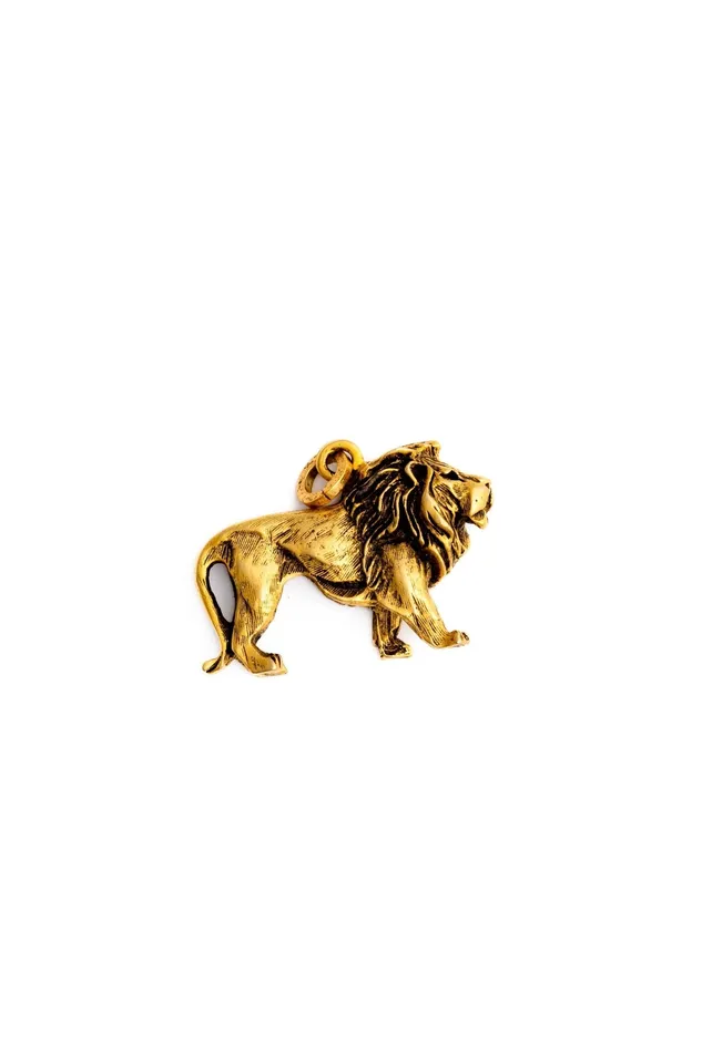 Golden Lion Charm Elizabeth Cole Jewelry Charm Necklaces