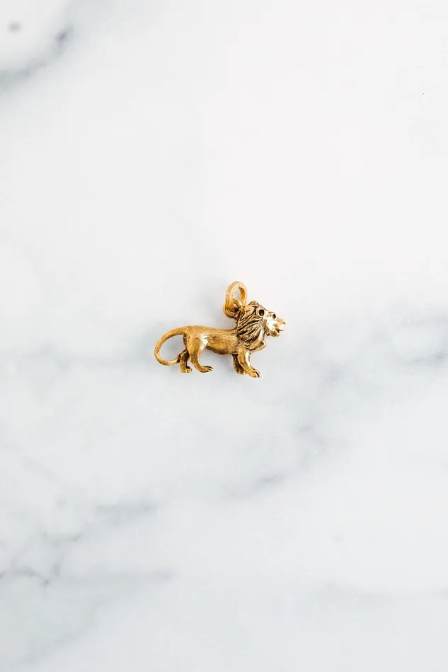 Golden Lion Charm Elizabeth Cole Jewelry Charm Necklaces