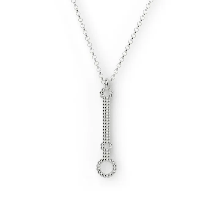 microRNA necklace silver sciencejewelry1824 Necklaces